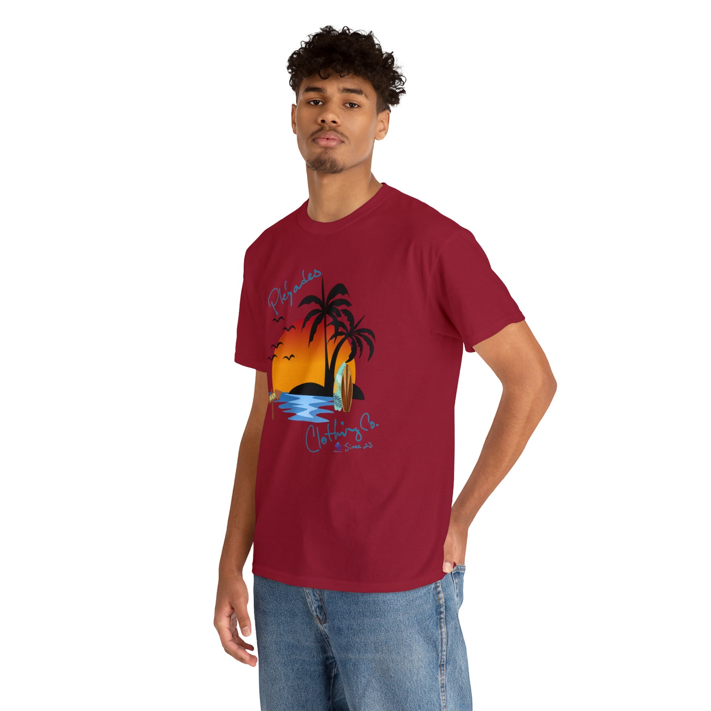 Pleyades Beach Unisex Heavy Cotton Tee