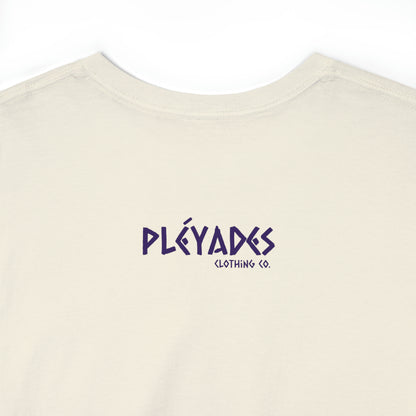 Pleyades Beach Unisex Heavy Cotton Tee