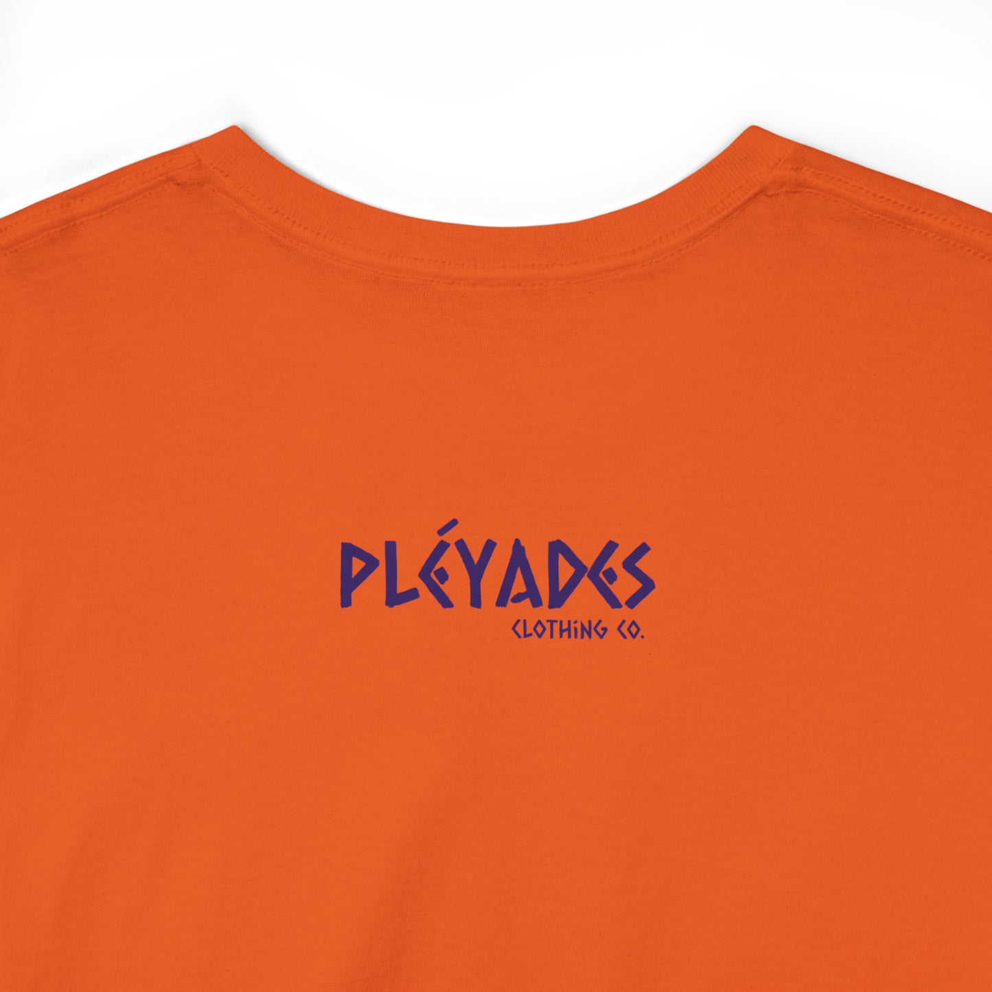 Pleyades Beach Unisex Heavy Cotton Tee