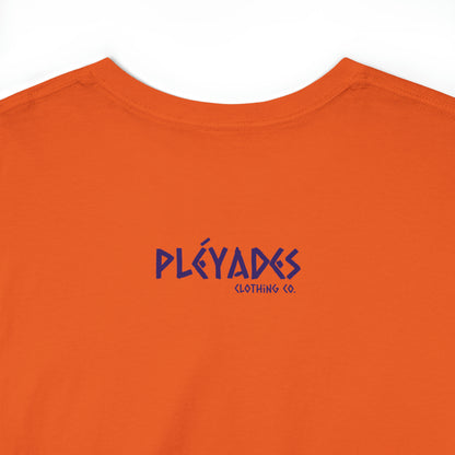 Pleyades Beach Unisex Heavy Cotton Tee