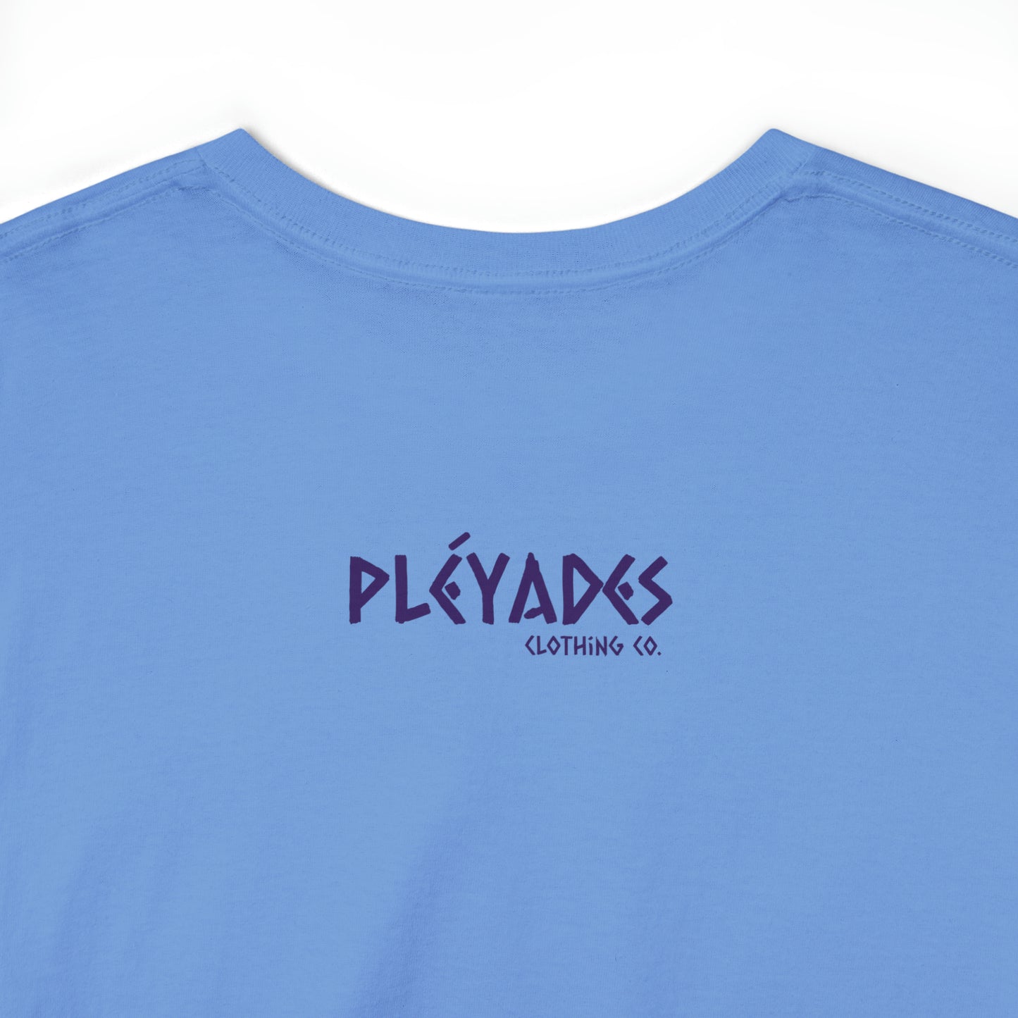 Pleyades Beach Unisex Heavy Cotton Tee