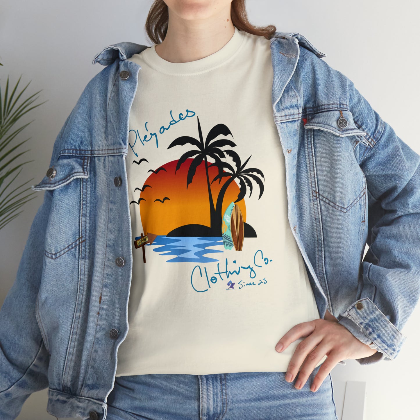 Pleyades Beach Unisex Heavy Cotton Tee