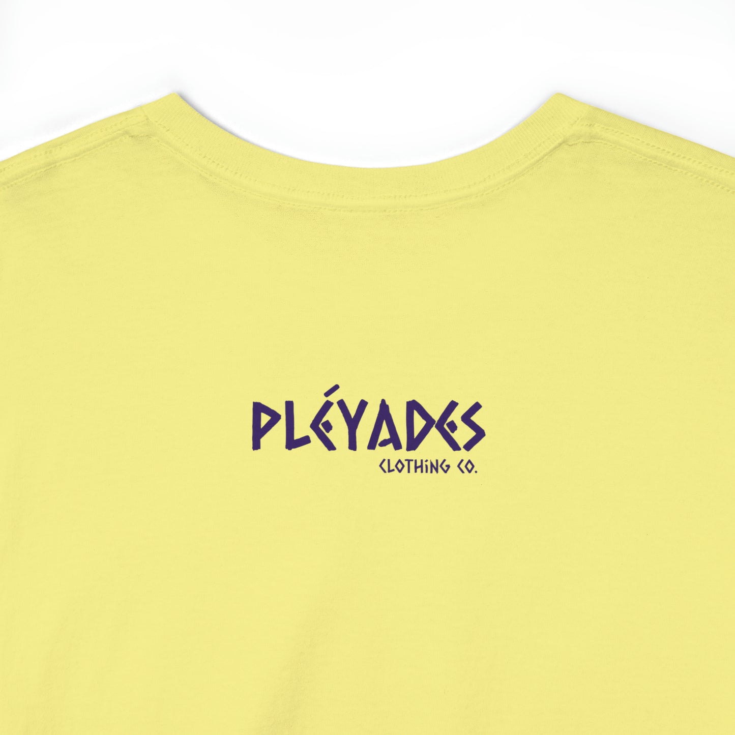 Pleyades Beach Unisex Heavy Cotton Tee