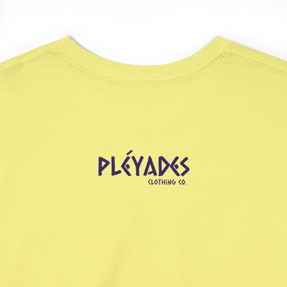 Pleyades Beach Unisex Heavy Cotton Tee