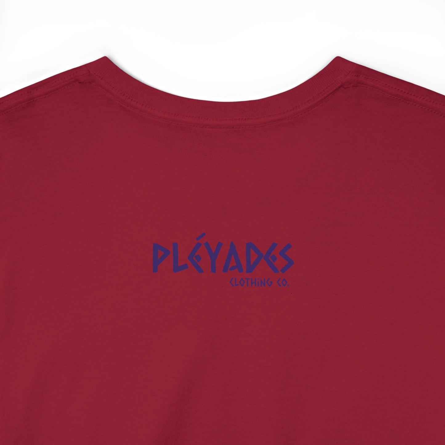 Pleyades Beach Unisex Heavy Cotton Tee