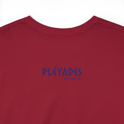 Pleyades Beach Unisex Heavy Cotton Tee