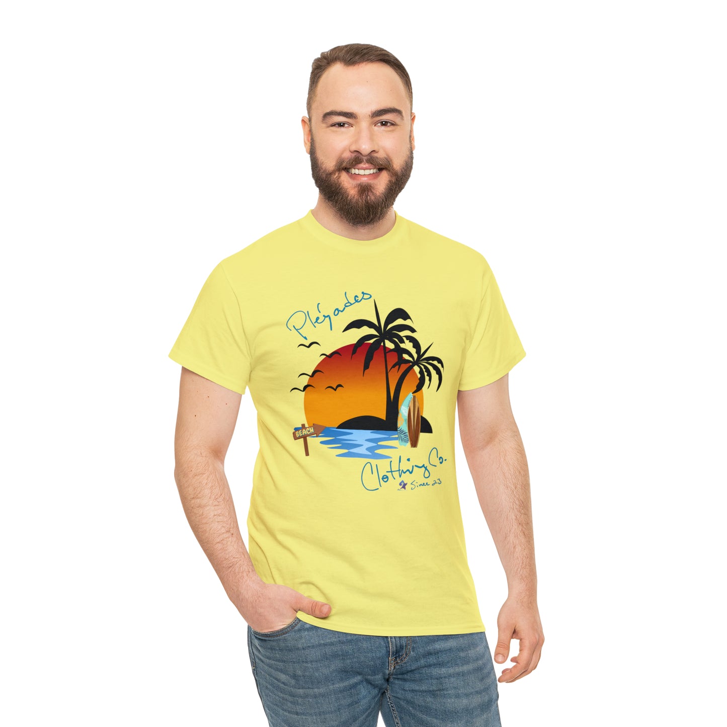 Pleyades Beach Unisex Heavy Cotton Tee