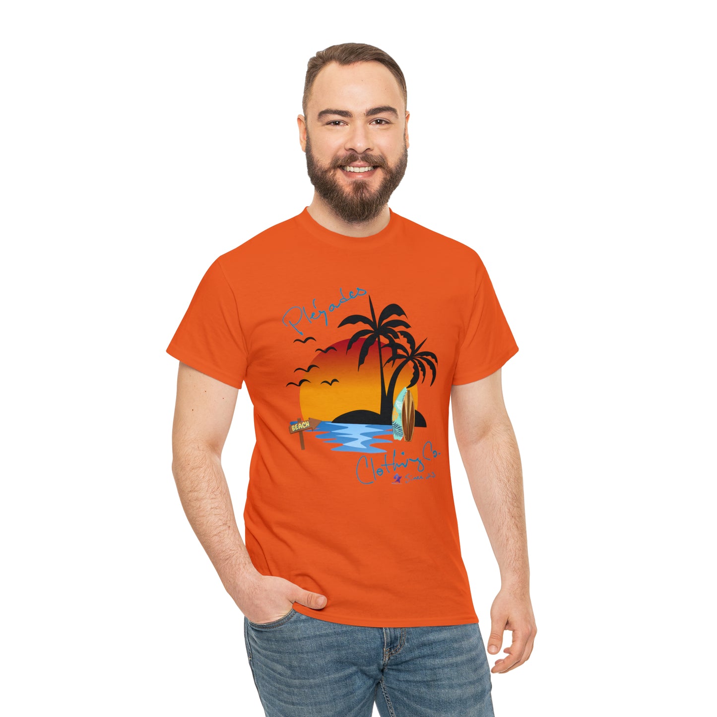 Pleyades Beach Unisex Heavy Cotton Tee