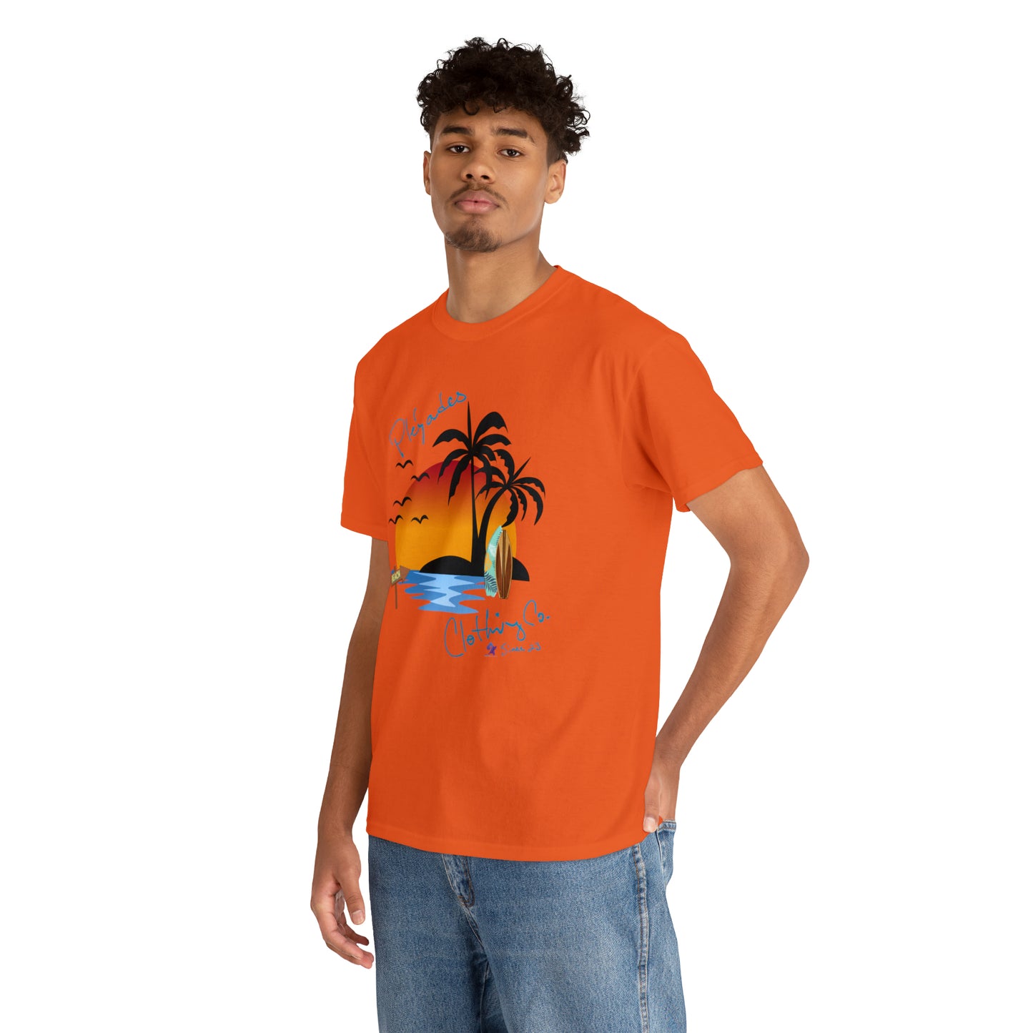 Pleyades Beach Unisex Heavy Cotton Tee