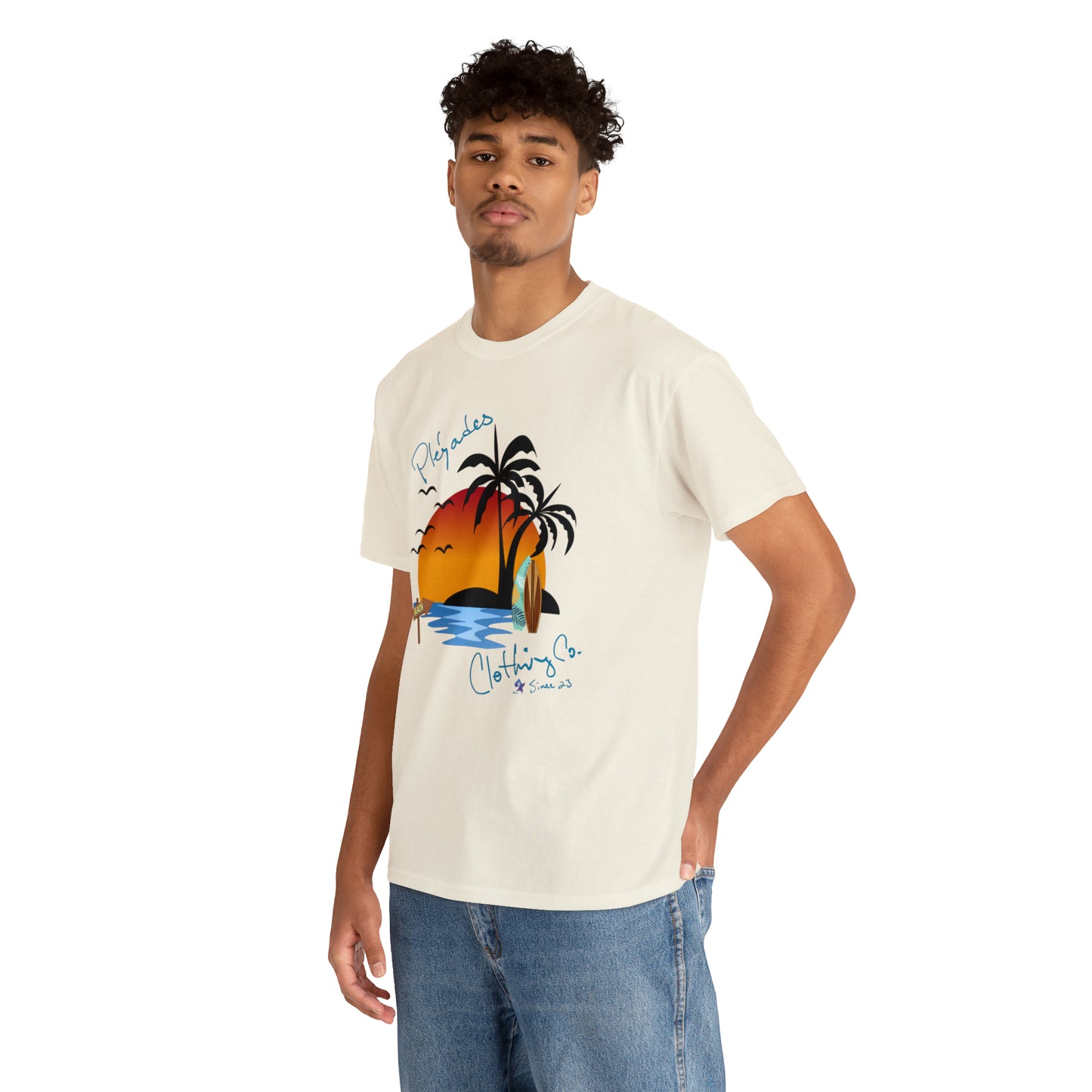 Pleyades Beach Unisex Heavy Cotton Tee