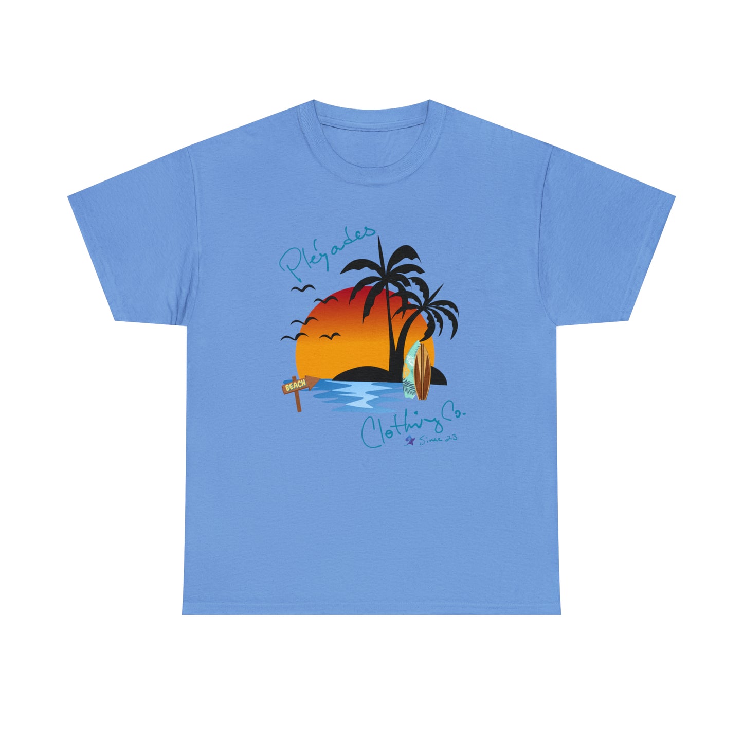 Pleyades Beach Unisex Heavy Cotton Tee